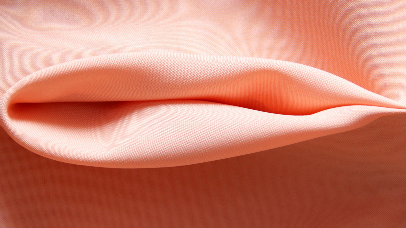 Vagina vs. Vulva: What’s the Difference?